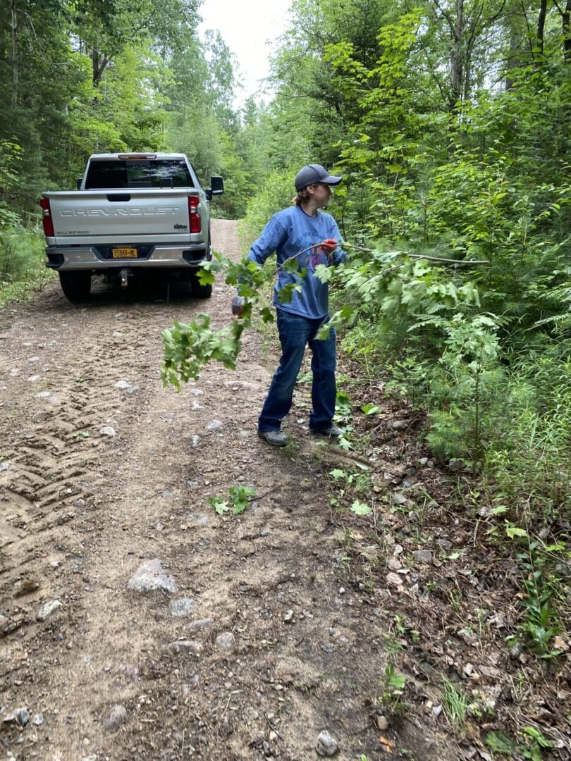 A person wearing a cap and blue jeans trims a small tree beside a dirt road, with a white truck parked in the background.